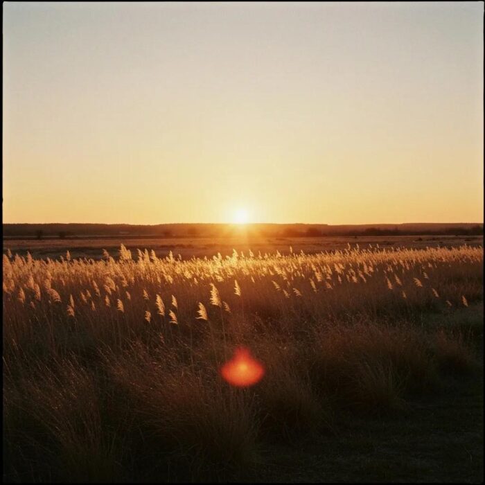Cozy finished basement interior highlighting the benefits of basement remodeling and permit requirements
